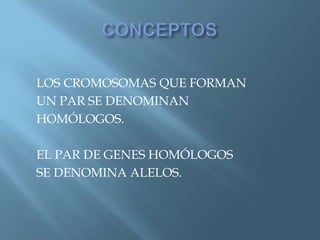 Polimorfismos Geneticos