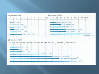 Polimorfismos Geneticos