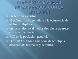 Polimorfismos Geneticos