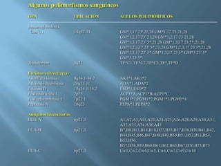 Polimorfismos Geneticos