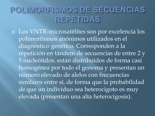 Polimorfismos Geneticos