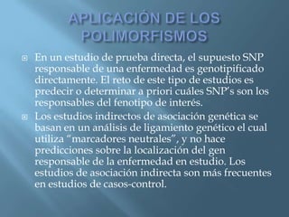 Polimorfismos Geneticos