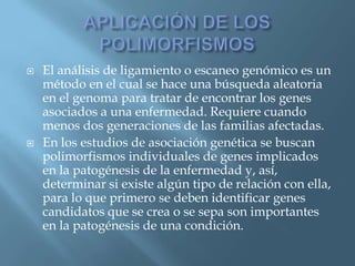 Polimorfismos Geneticos