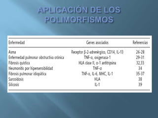 Polimorfismos Geneticos