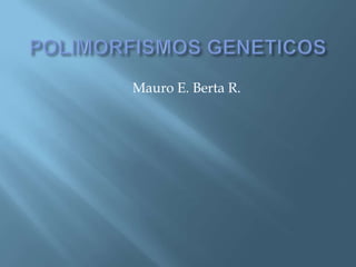 Mauro E. Berta R.
 