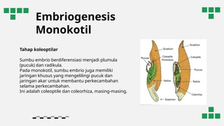 Comprehensive Overview of Plant Pollination and Embryogenesis Processes ...
