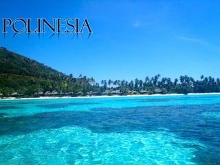 Polinesia
 
