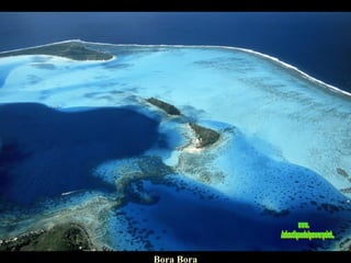 Bora Bora www. laboutiquedelpowerpoint. com 