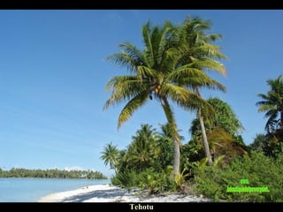 Tehotu www. laboutiquedelpowerpoint. com 