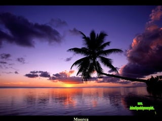 Moorea www. laboutiquedelpowerpoint. com 