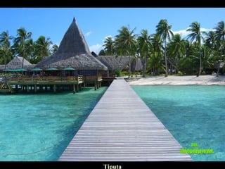 Tiputa www. laboutiquedelpowerpoint. com 