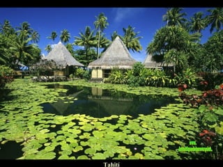Tahití www. laboutiquedelpowerpoint. com 