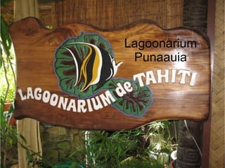 Lagoonarium
Punaauia
 