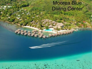 Moorea Blue
Diving Center
 