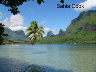 Bahia Cook
 
