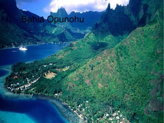 Bahia Opunohu
 