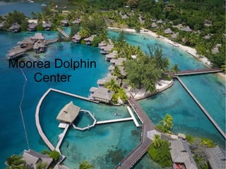 Moorea Dolphin
Center
 