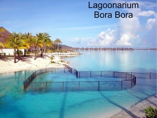 Lagoonarium
Bora Bora
 