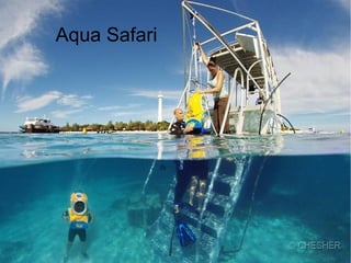 Aqua Safari
 