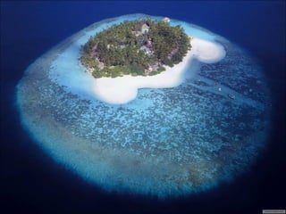 Polinesien francuska polinezija +