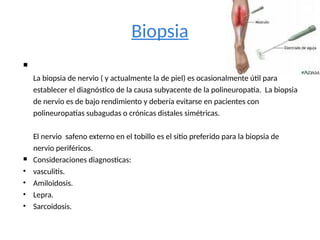 Biopsia

La biopsia de nervio ( y actualmente la de piel) es ocasionalmente útil para
establecer el diagnóstico de la causa subyacente de la polineuropatía. La biopsia
de nervio es de bajo rendimiento y debería evitarse en pacientes con
polineuropatías subagudas o crónicas distales simétricas.
El nervio safeno externo en el tobillo es el sitio preferido para la biopsia de
nervio periféricos.
 Consideraciones diagnosticas:
• vasculitis.
• Amiloidosis.
• Lepra.
• Sarcoidosis.
 