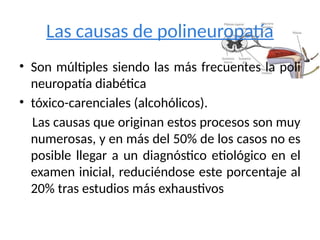 Las causas de polineuropatía
• Son múltiples siendo las más frecuentes la poli
neuropatía diabética
• tóxico-carenciales (alcohólicos).
Las causas que originan estos procesos son muy
numerosas, y en más del 50% de los casos no es
posible llegar a un diagnóstico etiológico en el
examen inicial, reduciéndose este porcentaje al
20% tras estudios más exhaustivos
 