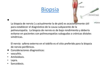Biopsia

La biopsia de nervio ( y actualmente la de piel) es ocasionalmente útil
para establecer el diagnóstico de la causa subyacente de la
polineuropatía. La biopsia de nervio es de bajo rendimiento y debería
evitarse en pacientes con polineuropatías subagudas o crónicas distales
simétricas.
El nervio safeno externo en el tobillo es el sitio preferido para la biopsia
de nervio periféricos.
 Consideraciones diagnosticas:
• vasculitis.
• Amiloidosis.
• Lepra.
• Sarcoidosis.
 