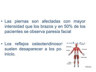 • Las piernas son afectadas con mayor
intensidad que los brazos y en 50% de los
pacientes se observa paresia facial
• Los reflejos osteotendinosos profundos
suelen desaparecer a los pocos días del
inicio.
 
