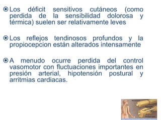 Los déficit sensitivos cutáneos (como
perdida de la sensibilidad dolorosa y
térmica) suelen ser relativamente leves
Los reflejos tendinosos profundos y la
propiocepcion están alterados intensamente
A menudo ocurre perdida del control
vasomotor con fluctuaciones importantes en
presión arterial, hipotensión postural y
arritmias cardiacas.
 