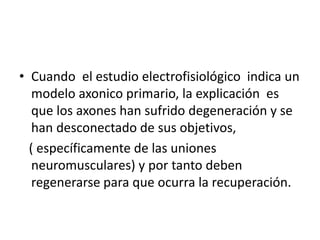 • Cuando el estudio electrofisiológico indica un
modelo axonico primario, la explicación es
que los axones han sufrido degeneración y se
han desconectado de sus objetivos,
( específicamente de las uniones
neuromusculares) y por tanto deben
regenerarse para que ocurra la recuperación.
 