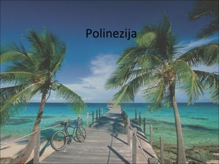 Polinezija
 