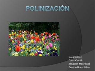 Polinización Integrantes : Davis Castillo Jonathan Manriquez Patricio Huenchillan 