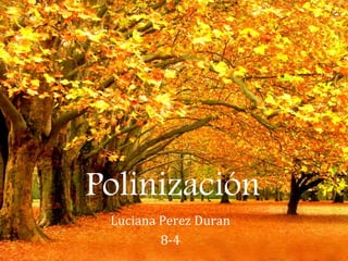 Polinización
Luciana Perez Duran
8-4
 