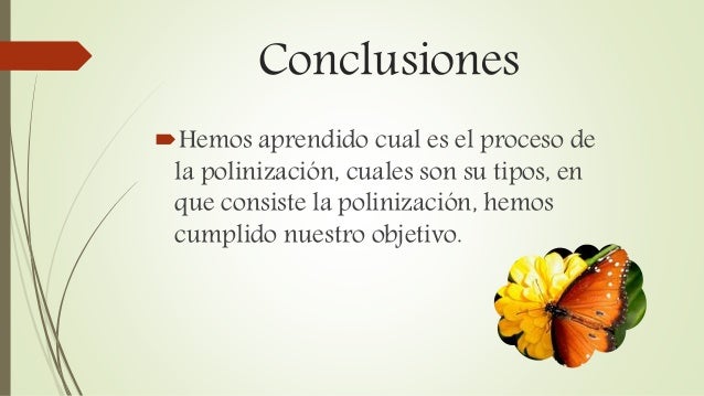 Polinización