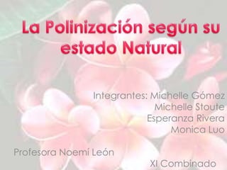 Integrantes: Michelle Gómez
Michelle Stoute
Esperanza Rivera
Monica Luo
Profesora Noemí León
XI Combinado
 