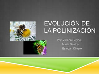 EVOLUCIÓN DE
LA POLINIZACIÓN
Por: Viviana Pelyhe
María Santos
Esteban Olivero
 