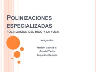 POLINIZACIONES 
ESPECIALIZADAS 
POLINIZACIÓN DEL HIGO Y LA YUCA 
Integrantes 
Mariam Gomez M. 
Gabriel Tarifa 
Jaqueline Romero 
 