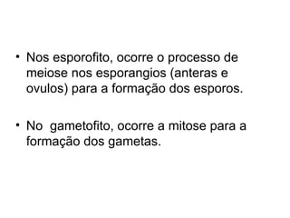 Nos esporofito, ocorre o processo de meiose nos esporangios (anteras e ovulos) para a formação dos esporos. No  gametofito, ocorre a mitose para a formação dos gametas.  