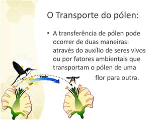 O Transporte do pólen:
• A transferência de pólen pode
ocorrer de duas maneiras:
através do auxílio de seres vivos
ou por fatores ambientais que
transportam o pólen de uma
flor para outra.
 