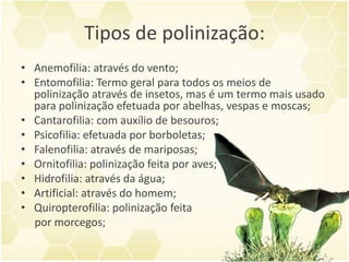 Tipos de polinização:
• Anemofilia: através do vento;
• Entomofilia: Termo geral para todos os meios de
polinização através de insetos, mas é um termo mais usado
para polinização efetuada por abelhas, vespas e moscas;
• Cantarofilia: com auxílio de besouros;
• Psicofilia: efetuada por borboletas;
• Falenofilia: através de mariposas;
• Ornitofilia: polinização feita por aves;
• Hidrofilia: através da água;
• Artificial: através do homem;
• Quiropterofilia: polinização feita
por morcegos;
 
