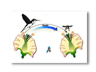 Polinização dos vegetais