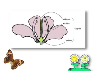 Polinização dos vegetais