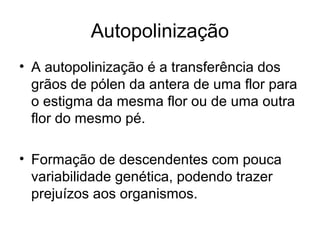 Autopolinização
• A autopolinização é a transferência dos
grãos de pólen da antera de uma flor para
o estigma da mesma flor ou de uma outra
flor do mesmo pé.
• Formação de descendentes com pouca
variabilidade genética, podendo trazer
prejuízos aos organismos.
 
