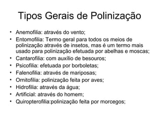 Tipos Gerais de Polinização
• Anemofilia: através do vento;
• Entomofilia: Termo geral para todos os meios de
polinização através de insetos, mas é um termo mais
usado para polinização efetuada por abelhas e moscas;
• Cantarofilia: com auxílio de besouros;
• Psicofilia: efetuada por borboletas;
• Falenofilia: através de mariposas;
• Ornitofilia: polinização feita por aves;
• Hidrofilia: através da água;
• Artificial: através do homem;
• Quiropterofilia:polinização feita por morcegos;
 