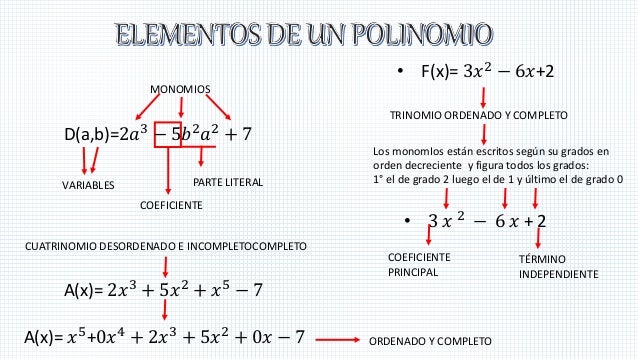 Polinomios