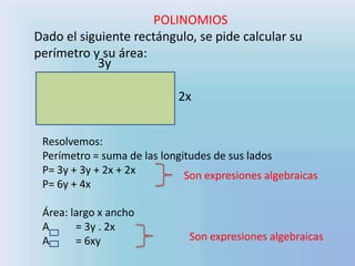 POLINOMIOS
Dado el siguiente rectángulo, se pide calcular su
perímetro y su área:
3y
2x
Resolvemos:
Perímetro = suma de las longitudes de sus lados
P= 3y + 3y + 2x + 2x
P= 6y + 4x
Área: largo x ancho
A = 3y . 2x
A = 6xy
Son expresiones algebraicas
Son expresiones algebraicas
 