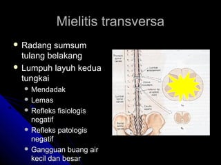 Mielitis transversa
 Radang

sumsum
tulang belakang
 Lumpuh layuh kedua
tungkai
 Mendadak
 Lemas
 Refleks

fisiologis

negatif
 Refleks patologis
negatif
 Gangguan buang air
kecil dan besar

 
