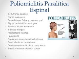 Poliomielitis Paralítica
Espinal• 0.1% franca parálisis
• Forma mas grave
• Precedida por fiebre y malestar gral
• Signos de irritación meníngea
• Parálisis flácida asimétrica
• Intensas mialgias
• Hiperestesia cutánea
• Parestesias
• Espasmos musculares involuntarios
• Fasciculaciones musculares.
• Confusión/Alteración de la consciencia
• 6-25% presentan afección bulbar
 