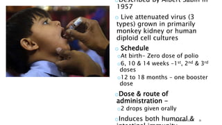 OPV
(LIVE ATTENUATED
VACCINE)
oDescribed by Albert Sabin in
1957
o Live attenuated virus (3
types) grown in primarily
monkey kidney or human
diploid cell cultures
o Schedule
oAt birth- Zero dose of polio
o6, 10 & 14 weeks –1st, 2nd & 3rd
doses
o12 to 18 months – one booster
dose
oDose & route of
administration -
o2 drops given orally
oInduces both humoral &
DR. ANIMESH GUPTA 30
 
