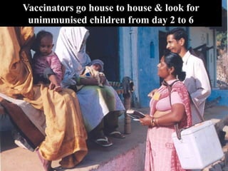 Vaccinators go house to house & look for
 unimmunised children from day 2 to 6
 